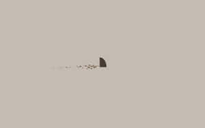 Shark Fin Simple Laptop Digital Illustration Wallpaper