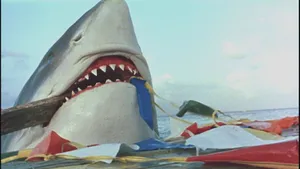 Shark Jaws With Debris Wallpaper