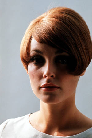 Sharon Tate Auburn Bob Wallpaper