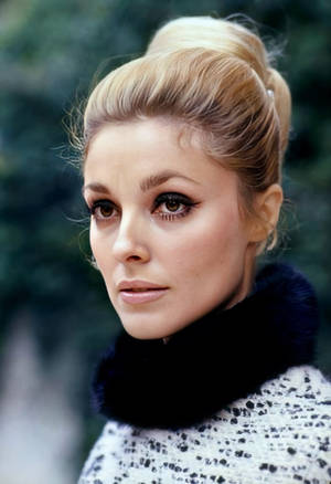 Sharon Tate Clean Bun Wallpaper