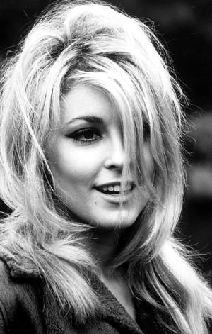 Sharon Tate Disheveled Hair Wallpaper