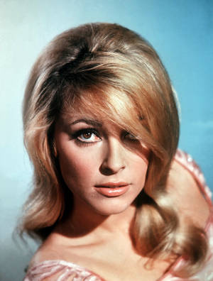 Sharon Tate Flipped Bob Wallpaper