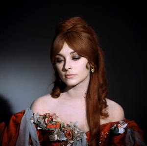 Sharon Tate The Fearless Vampire Killers Wallpaper