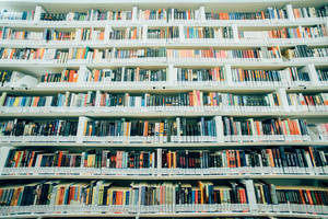 Shelves Filled With Books Wallpaper