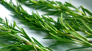 Shimmering Rosemary Sprigs Laid On A White Surface Wallpaper