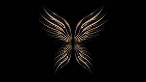 Shiny Wings Black Art Wallpaper