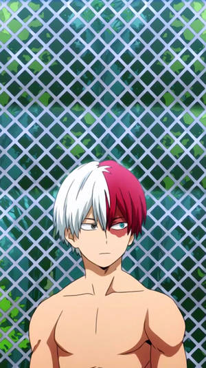 Shirtless Shoto Todoroki Aesthetic Wallpaper