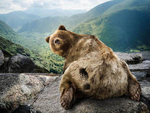 Shocked Bear In The Mountains Wallpaper