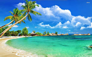 Shoreline Of Tropical Montego Bay Wallpaper