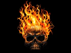 Show Fear To The Flaming Skull Wallpaper