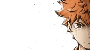 Shoyo Hinata, Haikyuu Hd Wallpaper