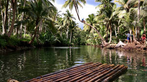Siargao Island Maasin River Raft Wallpaper