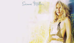 Sienna Miller Sexy Fierce Model Photography Pictures Wallpaper