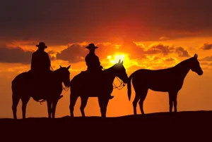 Silhouette Of Cowboys Riding Horses Wallpaper