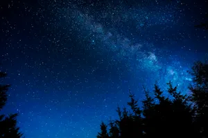 Silhouette Of Trees Under Blue Night Sky Wallpaper