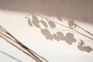 Silhouette On Beige Wall Wallpaper