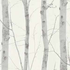 Silver Birch Tree Art Wallpaper