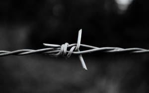 Simple Black Barbed Wire Close-up Wallpaper