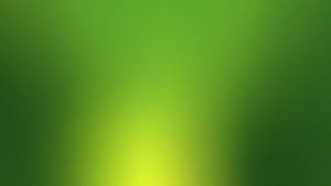 Simple Green Background Wallpaper