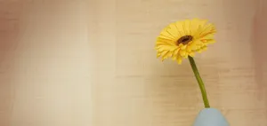 Simple Happy Birthday Sunflower Wallpaper