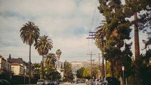 Simple Roadway In Hollywood Wallpaper
