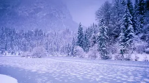 Simple Winter Snow Lake Wallpaper