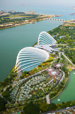 Singapore Flower Dome Aerial View Wallpaper