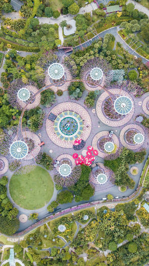 Singapore Gardens Aerial Shot Wallpaper