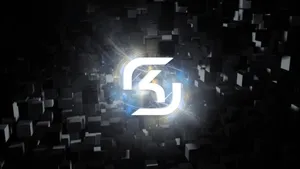 Sk Gaming In Action Wallpaper