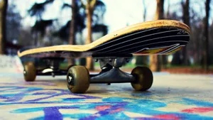 Skateboard Macro Photography Wallpaper