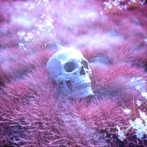 Skeleton Pink Skull Wallpaper