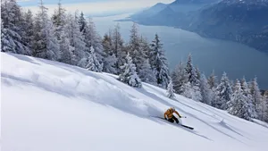 Skiing Frozen Evergreens Wallpaper