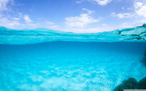 Sky And Underwater View Wallpaper