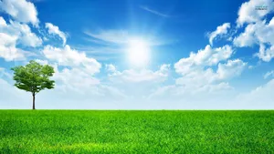Sky Clouds Hd Desktop Wallpaper : High Definition : Fullscreen Wallpaper