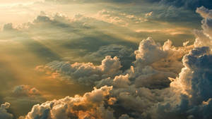 Sky View Sunlight Wallpaper