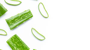 Sliced Aloe Vera Plants Wallpaper