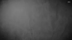 Slightly Crumpled Grey White Wallpaper
