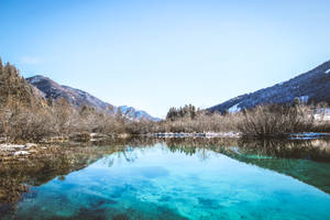 Slovenia Zelenci Springs Wallpaper