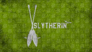 Slytherin Quidditch Team Harry Potter Desktop Wallpaper