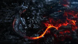Small Baby Dragon Wallpaper