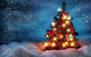 Small Christmas Tree On Snowy Night Wallpaper