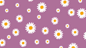 Small Daisies Covering A Pretty Purple Surface Wallpaper