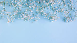Small Flowers On Baby Blue Wallpaper