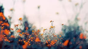 Small Flowers Vintage Aesthetic Pc Wallpaper