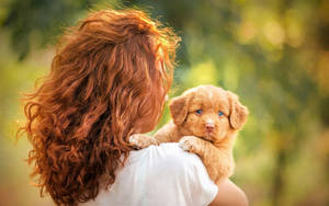 Small Golden Cute Puppy And Woman Wallpaper