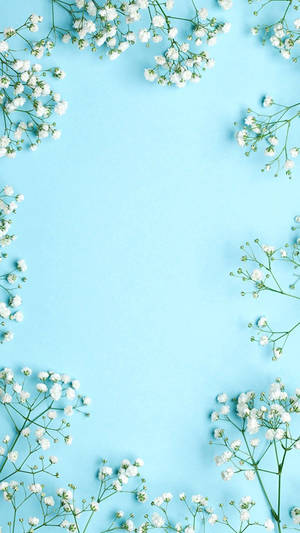 Small White Flowers Pretty Phone Wallpaper