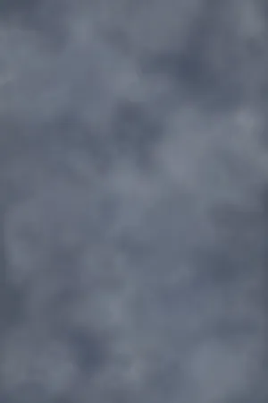 Smoky Gray Portrait Wallpaper