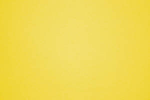 Smooth Plain Yellow Wallpaper