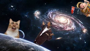 Snoop Dogg And Nicholas Cage Cat - Out Of This World! Wallpaper