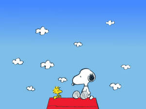 Snoopy And Woodstock Relaxing Wallpaper